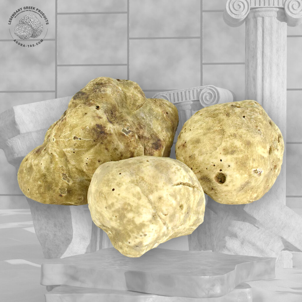 Fresh White Greek Truffle (Tuber magnatum pico)